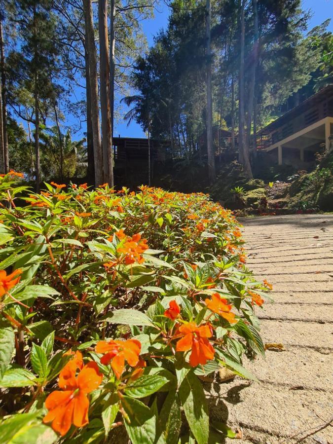 Recanto Dos Sonhos Guest House Lumiar Luaran gambar